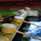 根津神社の手水舎