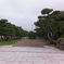 DSCF5352