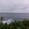 DSCF5355