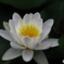 しっとり