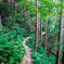 八幡山山道