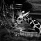 DSC01290