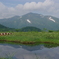 池塘に映る至仏山
