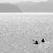 凪の海