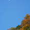秋空