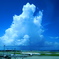 夏の雲・・・と飛行機