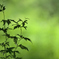 _DSC4806_PH