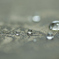 DSC_3313_PH