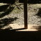 DSCF0014