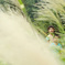 September breeze