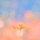 ひなたぼっこ♪