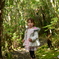 in a wood