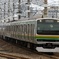 伊豆するがひまわり号
