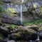 Elowah Falls #1 - Surroundings