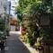 路地