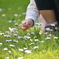 花摘み