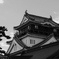岡崎城