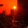 Red City