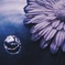 水×花
