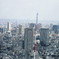 都庁から、スカイタワーを見る。