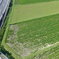 日本独自の風景「田園風景と幹線道路」