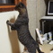 野良猫
