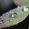 水滴