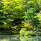 天龍寺にて