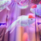 Art-Aquarium.09.02.2015-13