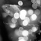 Art-Aquarium.09.02.2015-8