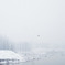 2013·winter