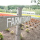本来はTomita Farmでは？