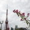東京タワーと花...（花メインver）