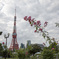 東京タワーと花...（東京タワーメインver）