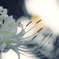 そっと。。。
