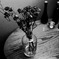 In the room -Flower 2-