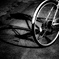 Shadow