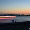 夕暮れ葛西臨海公園2