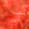 曼珠沙華の妖精１