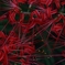 悲しい思い出