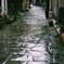 今日みたく雨なら