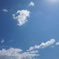 DSC00449