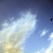 空と鳥