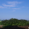 IMGP0037