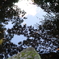 兼六園