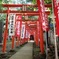 鬼子母神