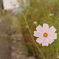 IMGP0051