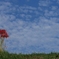 秋空