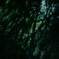 shadowgraph 1