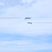 Blue Impulse Low Pass